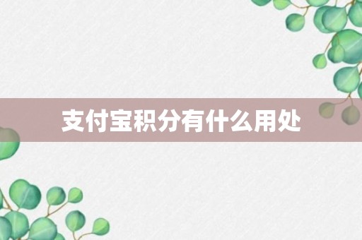 支付宝积分有什么用处