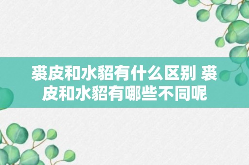 裘皮和水貂有什么区别 裘皮和水貂有哪些不同呢