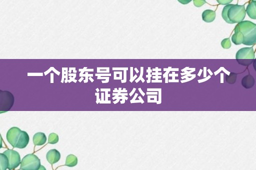 一个股东号可以挂在多少个证券公司