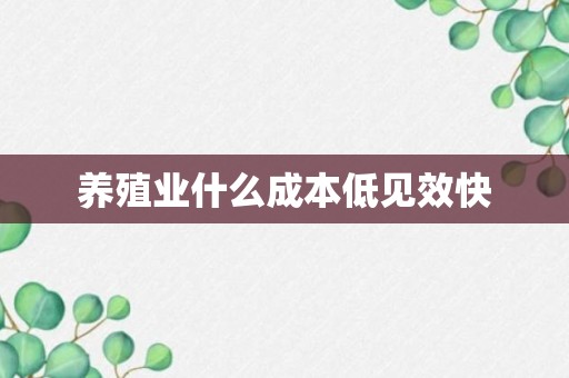 养殖业什么成本低见效快