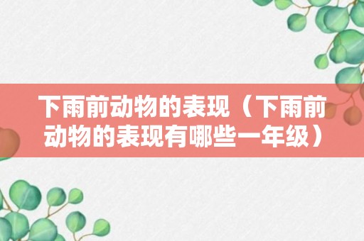 下雨前动物的表现（下雨前动物的表现有哪些一年级）