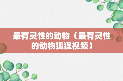 最有灵性的动物（最有灵性的动物狐狸视频）