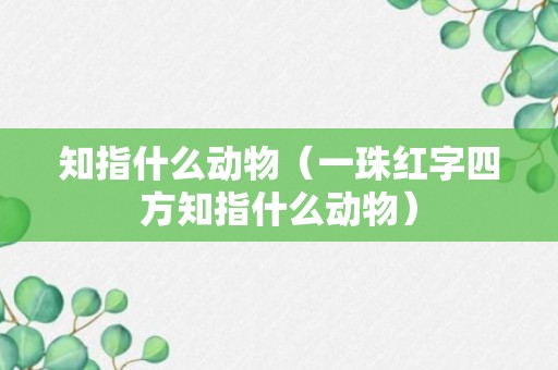 知指什么动物（一珠红字四方知指什么动物）