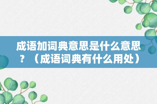 成语加词典意思是什么意思？（成语词典有什么用处）