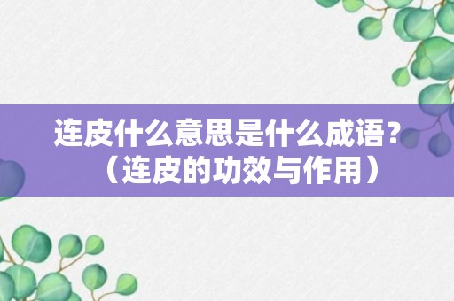 连皮什么意思是什么成语？（连皮的功效与作用）