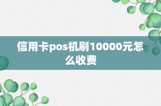 信用卡pos机刷10000元怎么收费