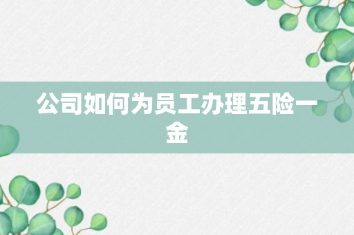 公司如何为员工办理五险一金