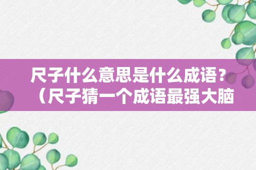 尺子什么意思是什么成语？（尺子猜一个成语最强大脑）