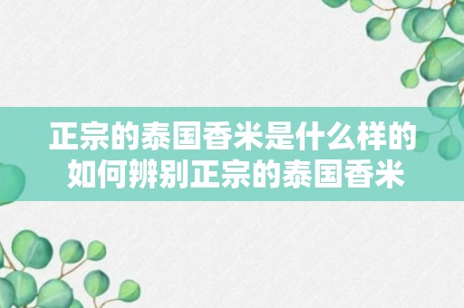 正宗的泰国香米是什么样的 如何辨别正宗的泰国香米呢