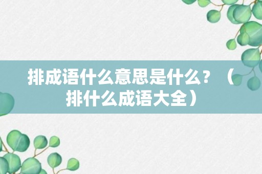 排成语什么意思是什么？（排什么成语大全）