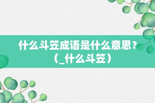 什么斗笠成语是什么意思？（_什么斗笠）