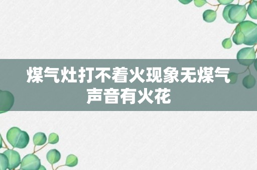 煤气灶打不着火现象无煤气声音有火花