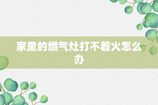 家里的燃气灶打不着火怎么办