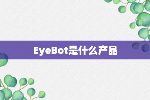 EyeBot是什么产品