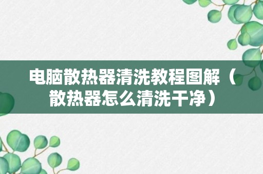 电脑散热器清洗教程图解（散热器怎么清洗干净）