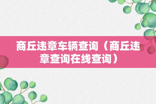 商丘违章车辆查询（商丘违章查询在线查询）