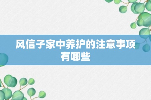 风信子家中养护的注意事项有哪些