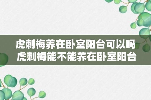 虎刺梅养在卧室阳台可以吗 虎刺梅能不能养在卧室阳台