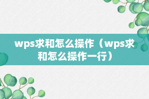 wps求和怎么操作（wps求和怎么操作一行）