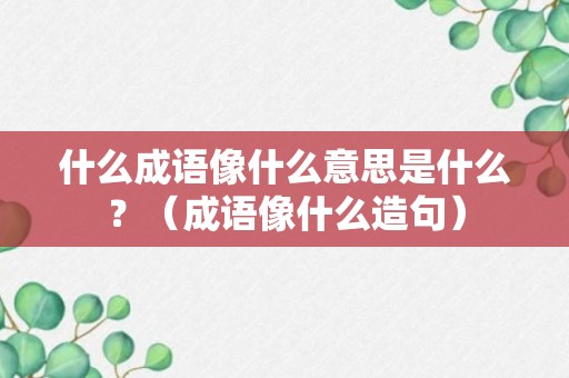 什么成语像什么意思是什么？（成语像什么造句）