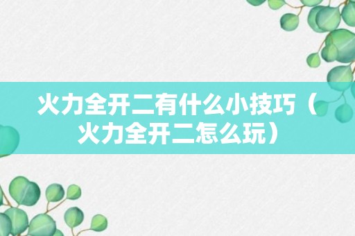 火力全开二有什么小技巧（火力全开二怎么玩）