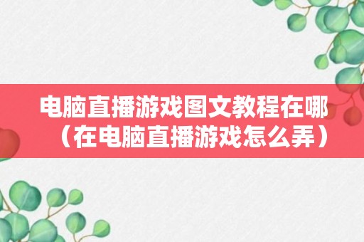 电脑直播游戏图文教程在哪（在电脑直播游戏怎么弄）