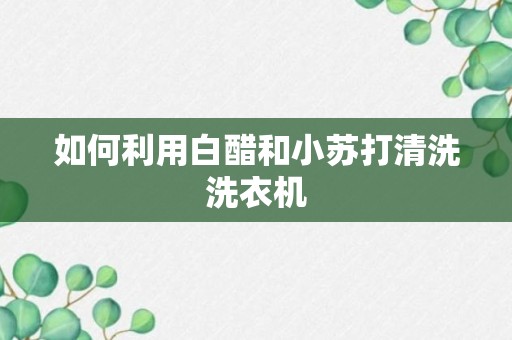 如何利用白醋和小苏打清洗洗衣机