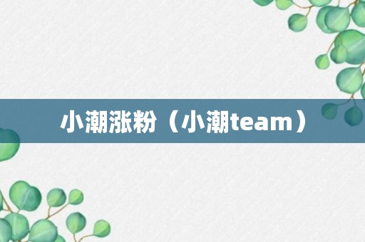 小潮涨粉（小潮team）