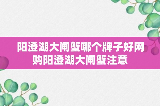 阳澄湖大闸蟹哪个牌子好网购阳澄湖大闸蟹注意