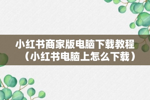 小红书商家版电脑下载教程（小红书电脑上怎么下载）