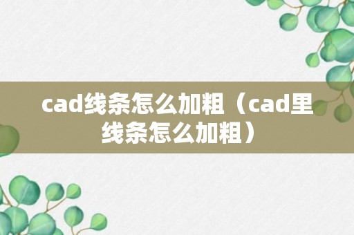 cad线条怎么加粗（cad里线条怎么加粗）