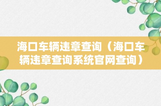 海口车辆违章查询（海口车辆违章查询系统官网查询）