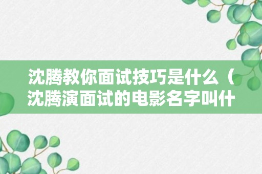 沈腾教你面试技巧是什么（沈腾演面试的电影名字叫什么）