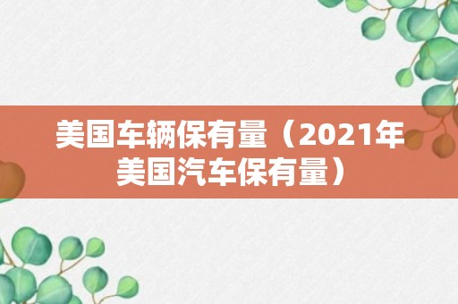 美国车辆保有量（2021年美国汽车保有量）