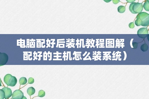 电脑配好后装机教程图解（配好的主机怎么装系统）