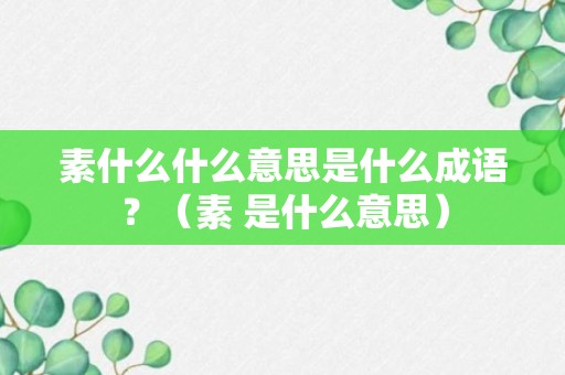 素什么什么意思是什么成语？（素 是什么意思）