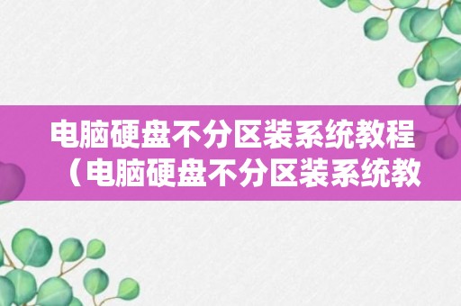 电脑硬盘不分区装系统教程（电脑硬盘不分区装系统教程图解）