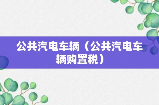 公共汽电车辆（公共汽电车辆购置税）