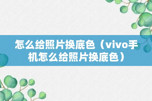 怎么给照片换底色（vivo手机怎么给照片换底色）