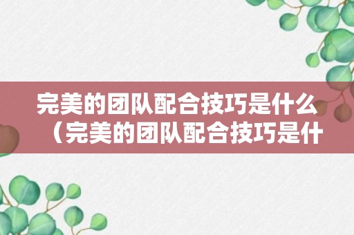 完美的团队配合技巧是什么（完美的团队配合技巧是什么样的）