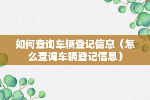 如何查询车辆登记信息（怎么查询车辆登记信息）