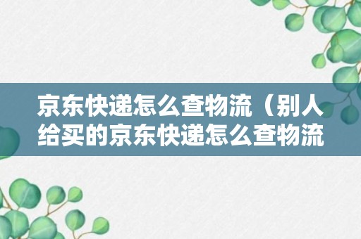 京东快递怎么查物流（别人给买的京东快递怎么查物流）