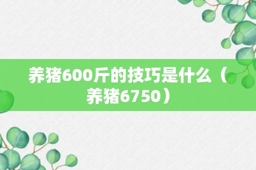 养猪600斤的技巧是什么（养猪6750）