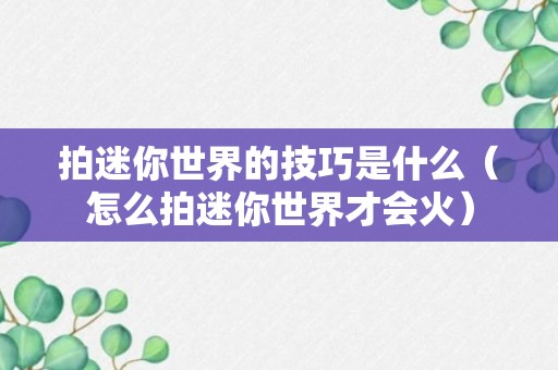 拍迷你世界的技巧是什么（怎么拍迷你世界才会火）