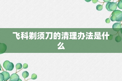 飞科剃须刀的清理办法是什么