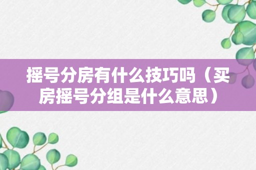 摇号分房有什么技巧吗（买房摇号分组是什么意思）