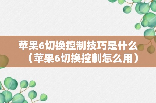 苹果6切换控制技巧是什么（苹果6切换控制怎么用）