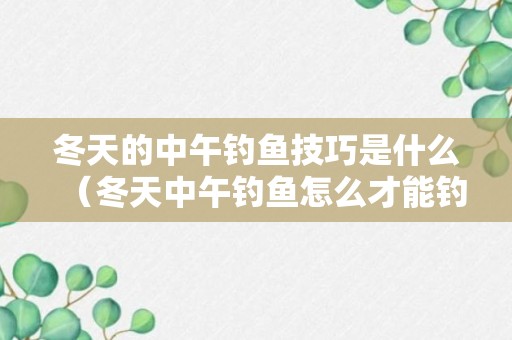 冬天的中午钓鱼技巧是什么（冬天中午钓鱼怎么才能钓到）