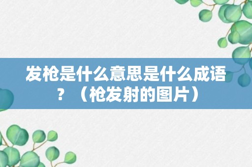 发枪是什么意思是什么成语？（枪发射的图片）