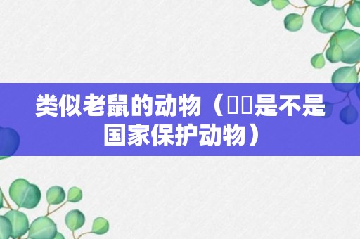 类似老鼠的动物（鼩鼱是不是国家保护动物）